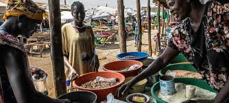 Global Hunger Crisis Deepens as 343m Face Acute Food Insecurity