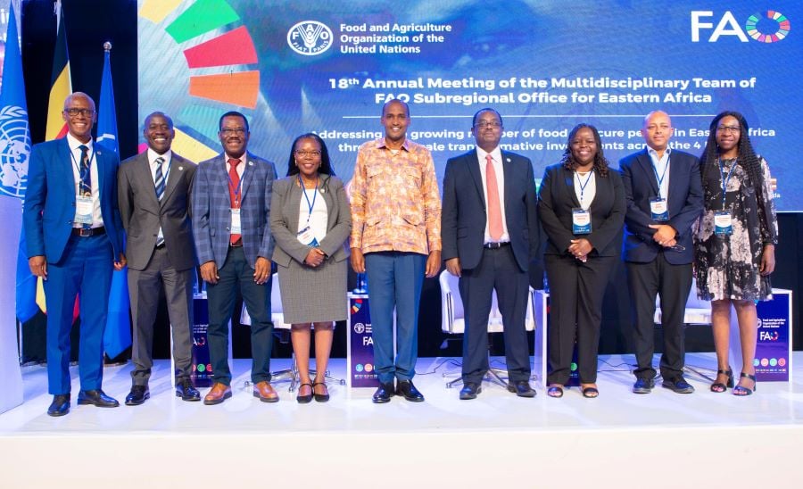Food insecurity still a big challenge for Eastern Africa- experts warn
