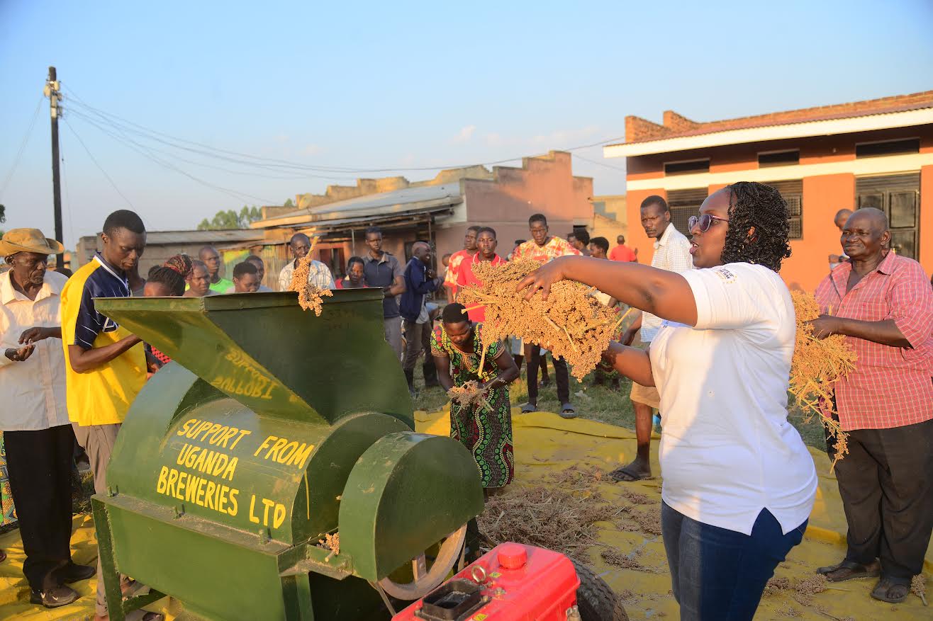 Threshers help Lango farmers reduce sorghum post-harvest losses