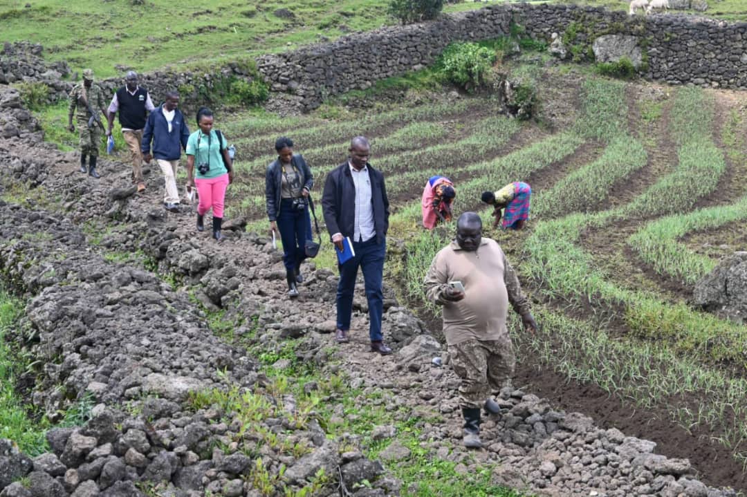 Newly Constructed Buffalo Wall Unveiled at Mgahinga National Park