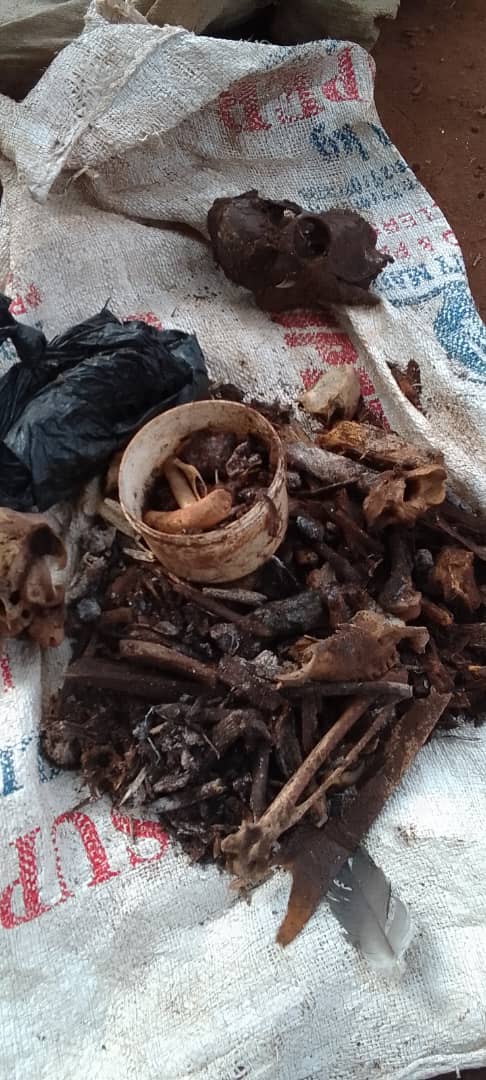 Kamuli Herbalist Gets 8 Years for Wildlife, Human Remains