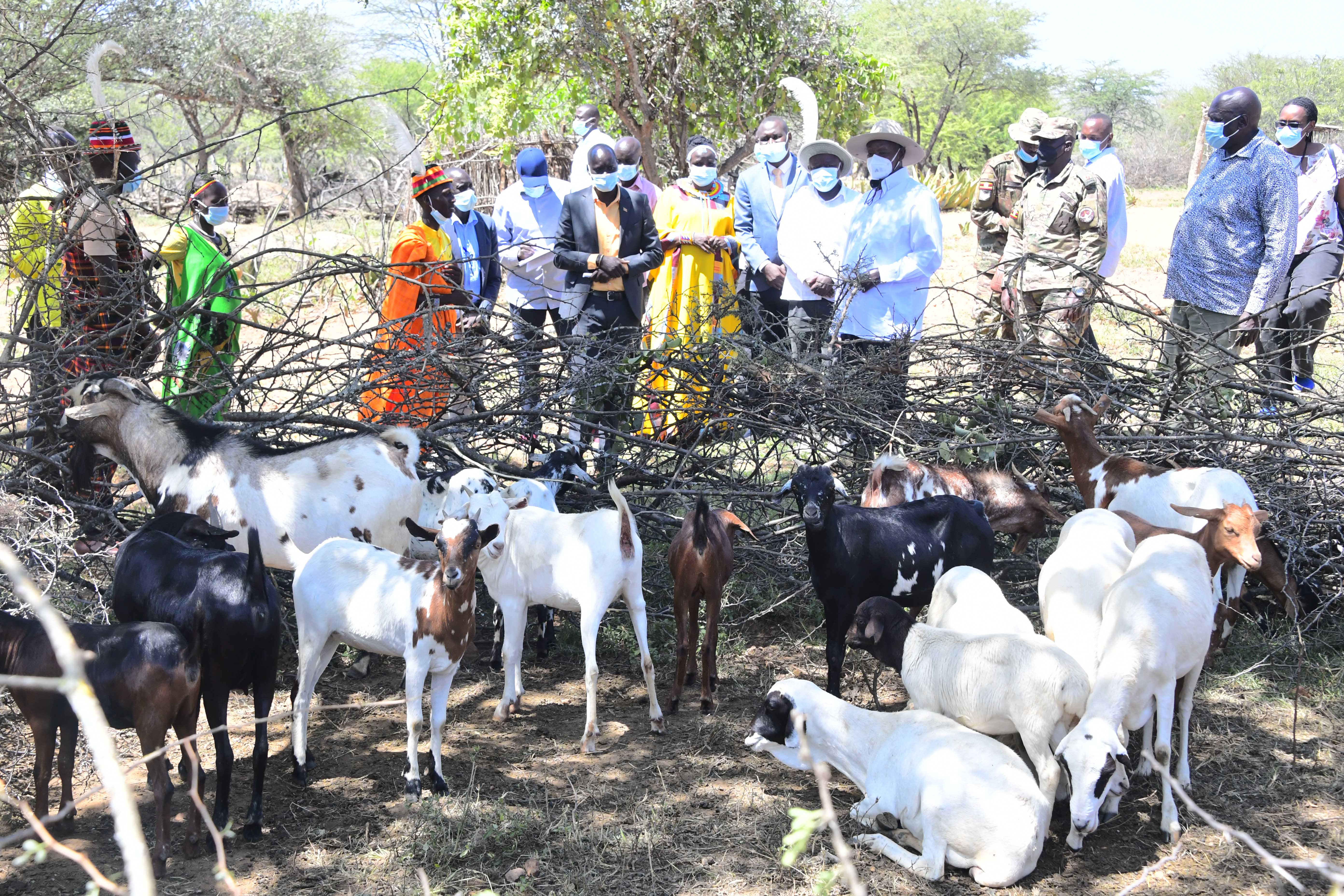 Museveni tips Karamoja on eradicating poverty