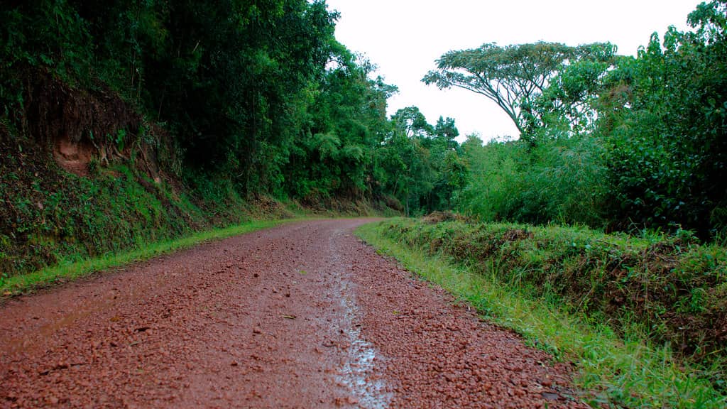 Roads of Neglect: How Poor Infrastructure is Eating Up Tourism Revenue