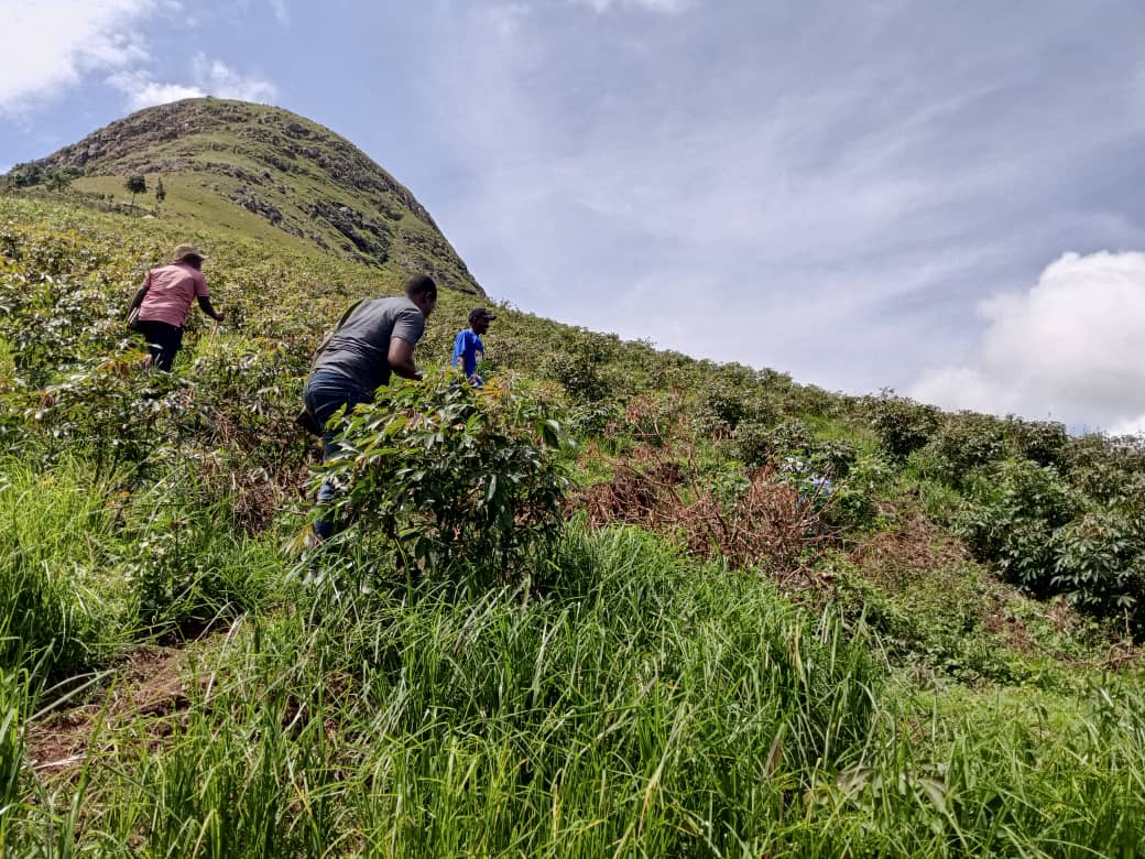 Ibanda Authorities Launch Major Effort to Restore Rushango Catchment Area