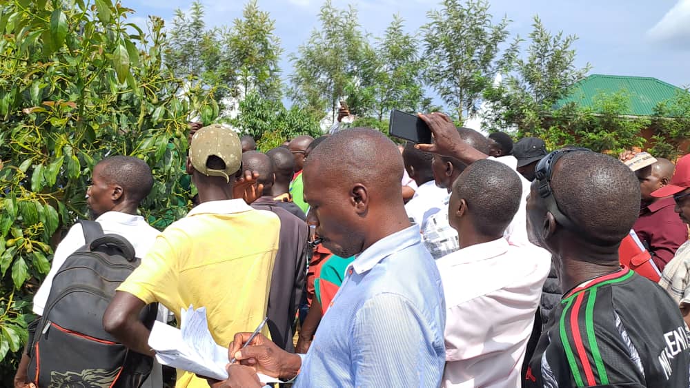 Ugandans urged to grow Hass Avocado to reap benefits