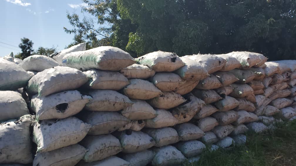 Amuru court bailfit summoned over missing charcoal funds