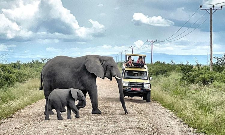 Experts call for strategic marketing of Uganda's tourism potential