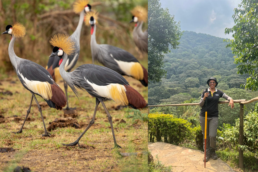 Uganda is a Birdwatcher's Paradise, says Ajarova