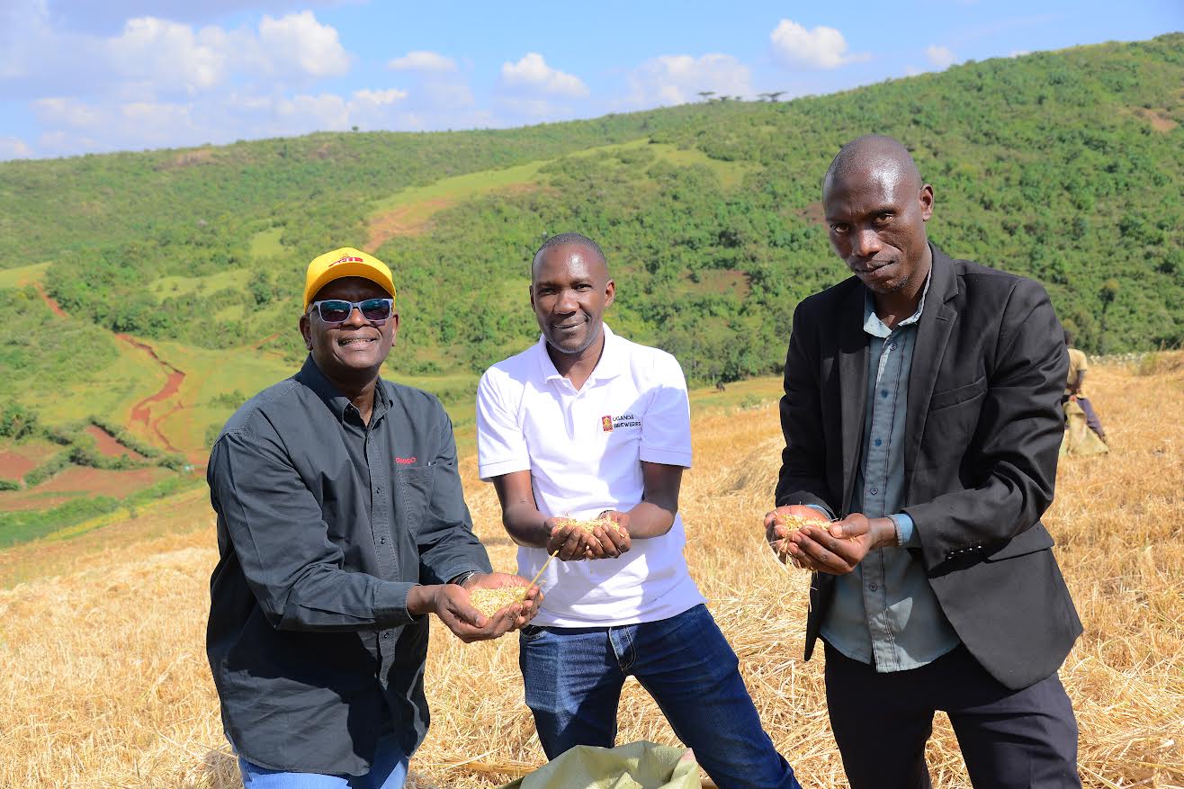 Kween farmers applaud UBL for providing ready market for barley