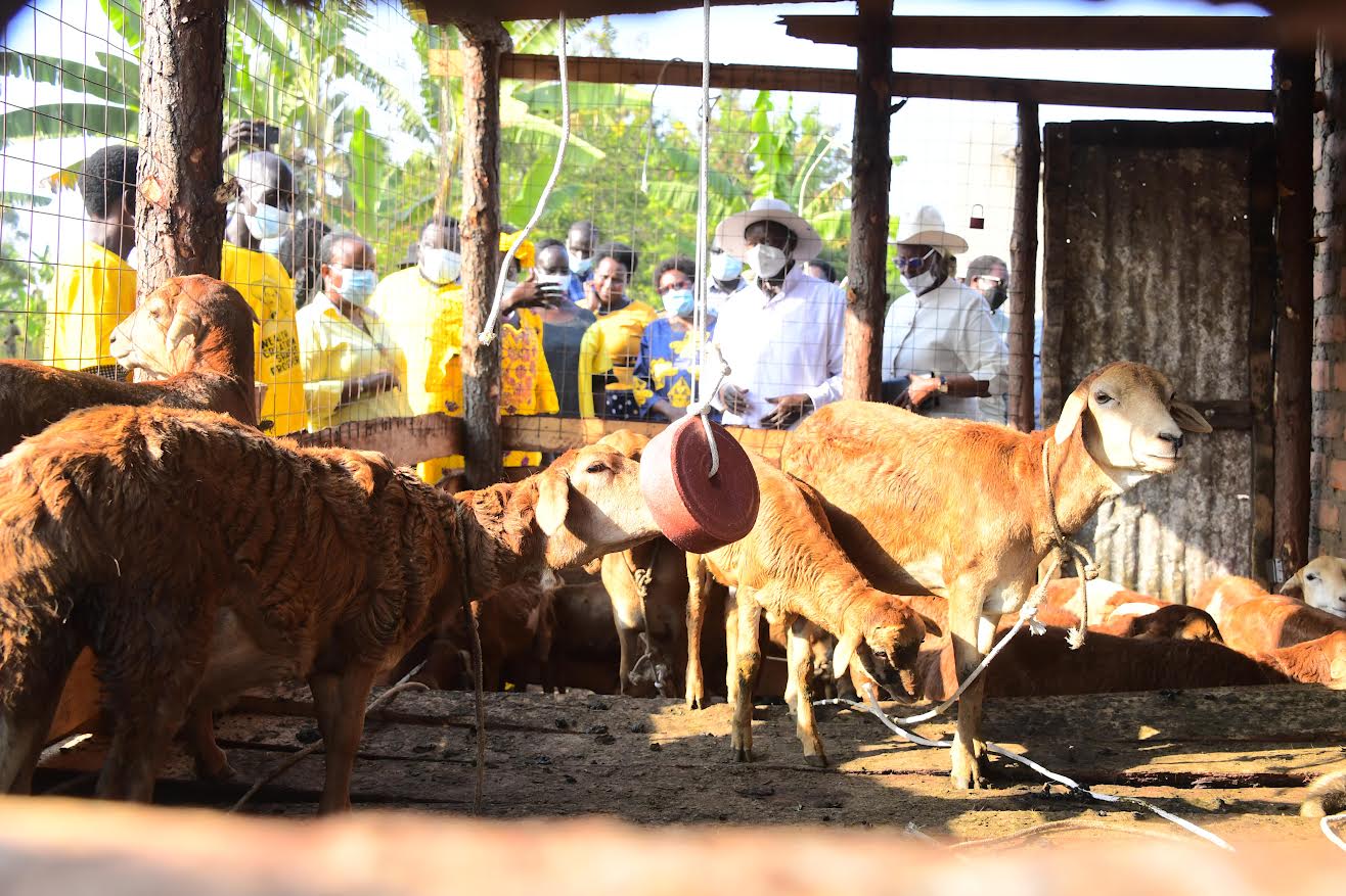 Museveni impressed by progressive impact of PDM in Lira