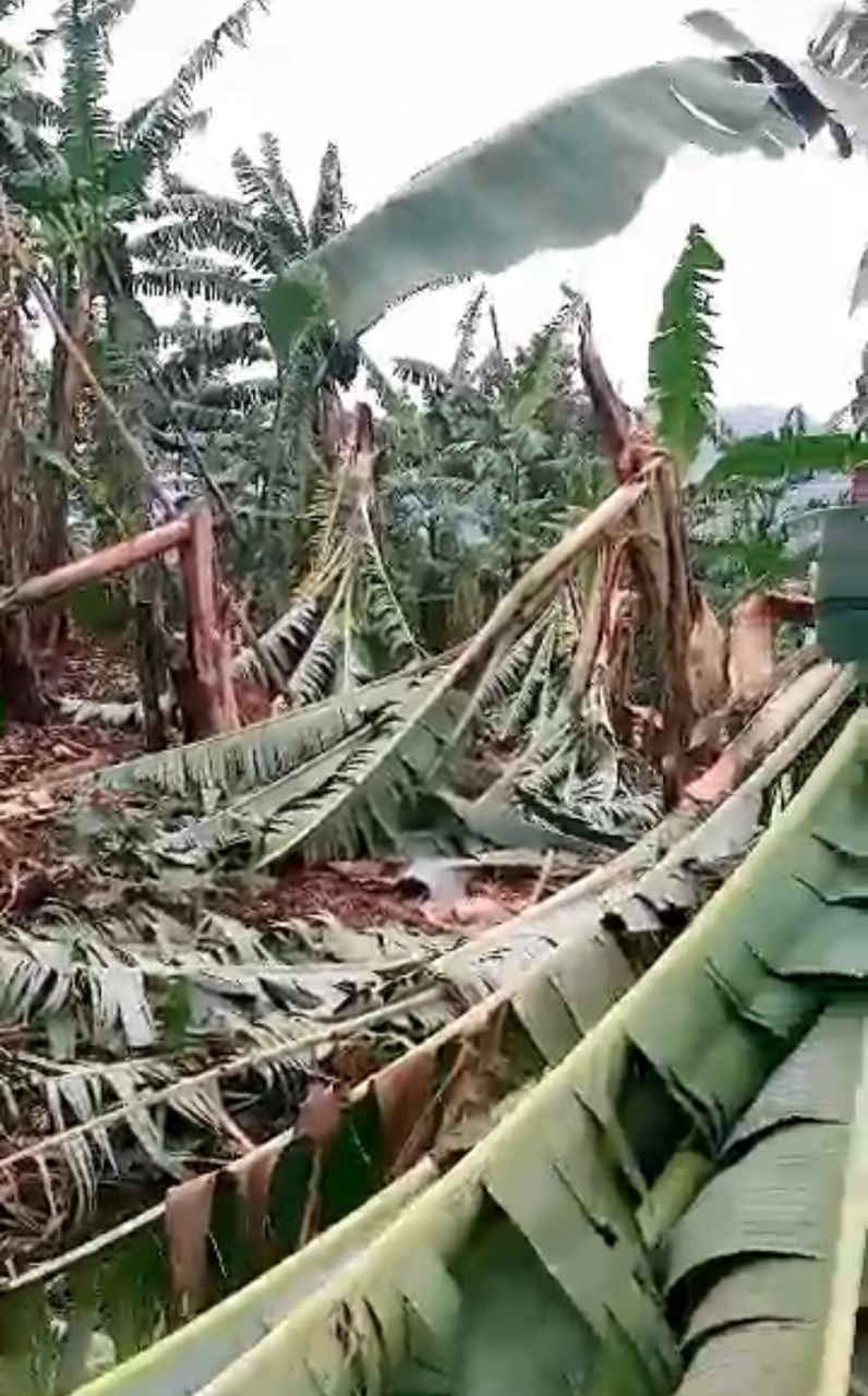 Heavy storm wreaks havoc in Sheema