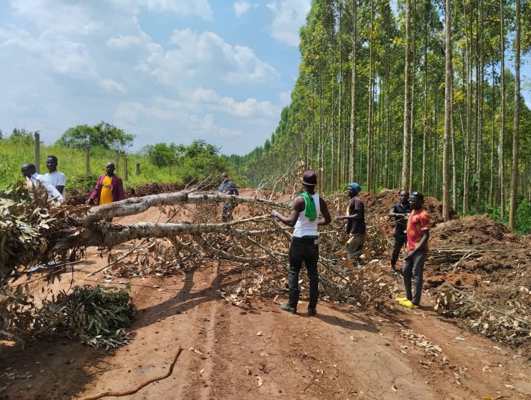 Kampala's garbage continues to spark controversy