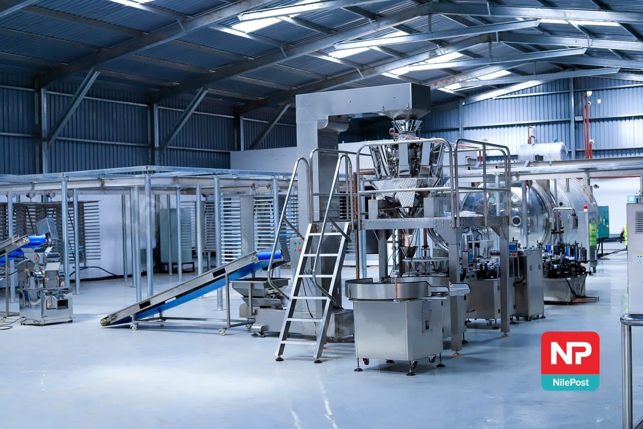Inspire Africa revolutionises coffee industry with innovative farming practices
