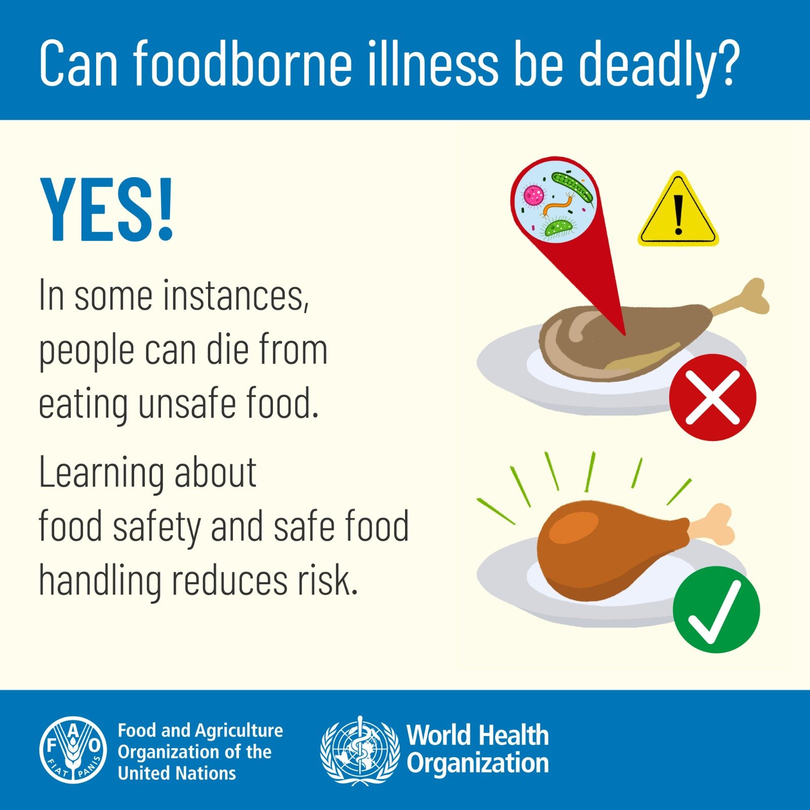 WHO Africa Warns Against Contaminated Food as a Health Hazard