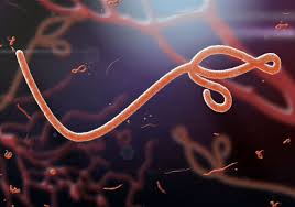 Understanding Sudan Ebola Virus Disease: What You Need to Know?