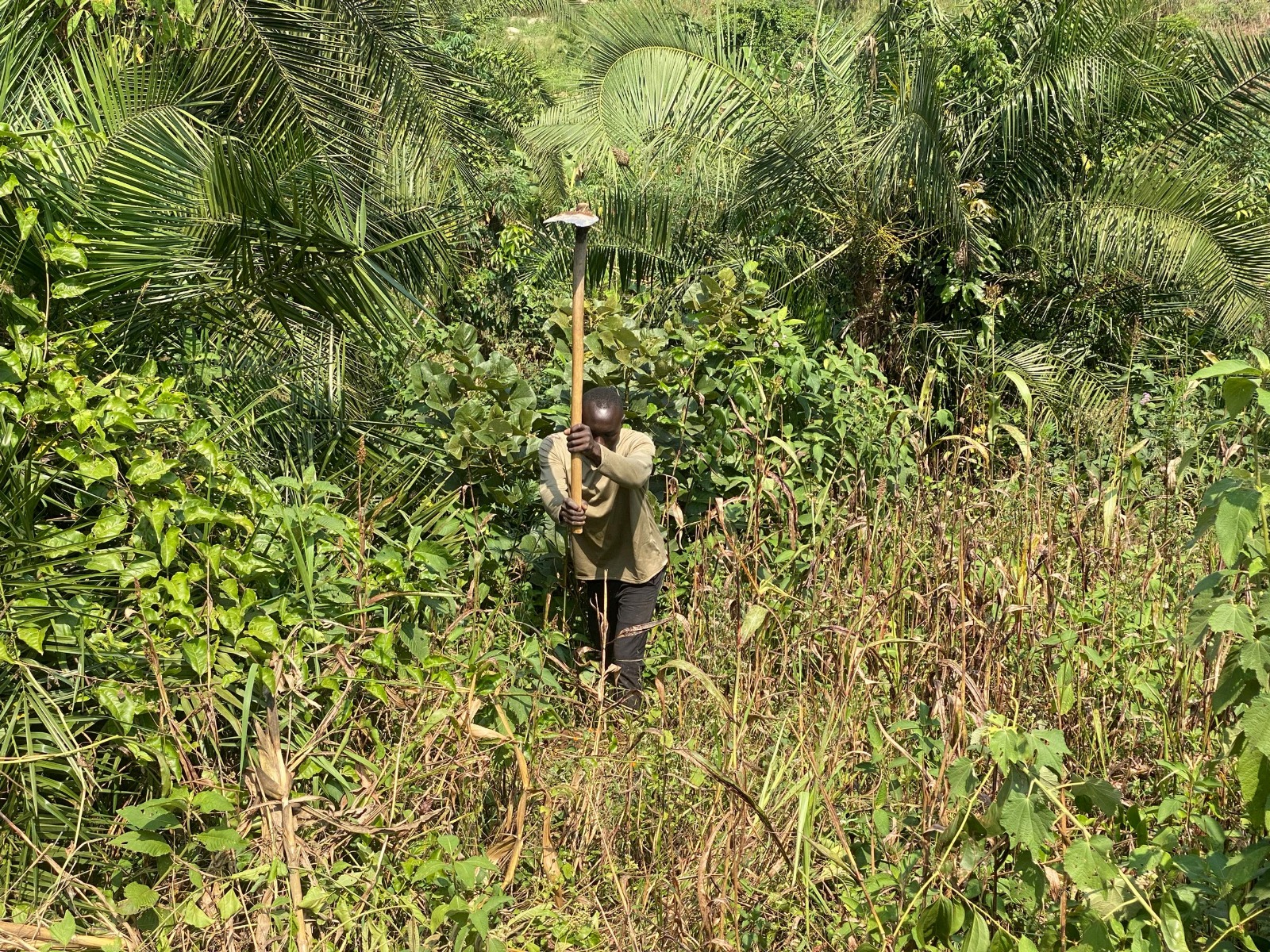 Ibanda Moves To Restore Mpanga Catchment Protect Vital Water Source