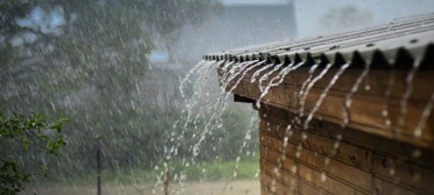 Relief for Ibanda Farmers as Rain Returns After Prolonged Dry Spell