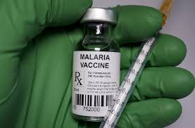 How the Malaria Vaccine Works