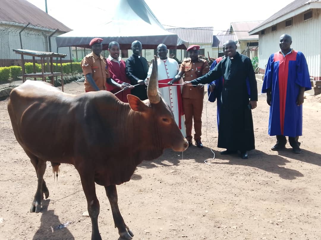 Bishop Akanjuna ,Church Leaders Of Kigezi Diocese Donate A Bull  To Ndorwa Prison Inmates For Easter