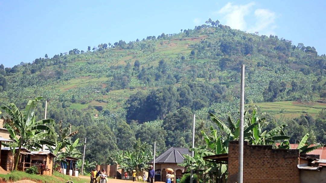 How Collapsing Agricultural Support System Is Deepening Bududa’s Climate Crisis