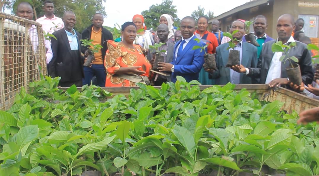 Kabaka’s Representatives in Buwunga Receive Coffee Seedlings