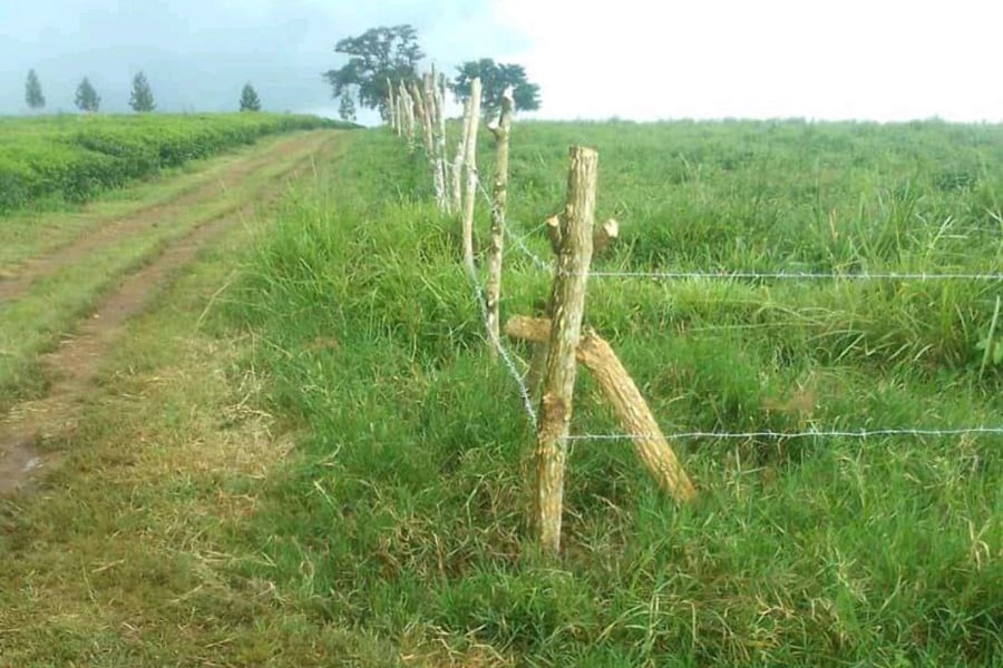 Commissioner of Lands Arrested Over Madhvani Land Grab Scandal