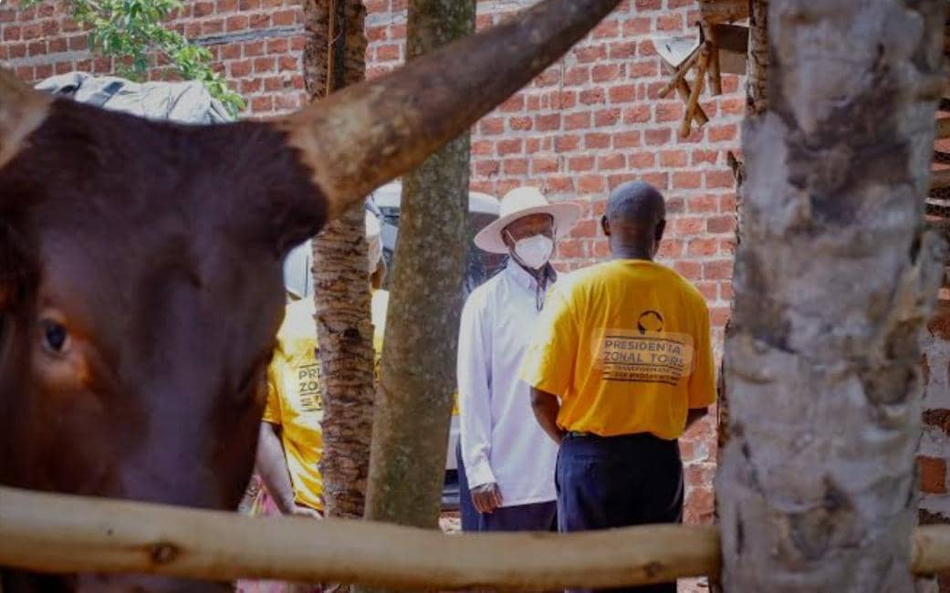 Museveni Launches Wealth Creation Drive in Greater Mubende, Praises Poultry Farmer in Kyankwanzi