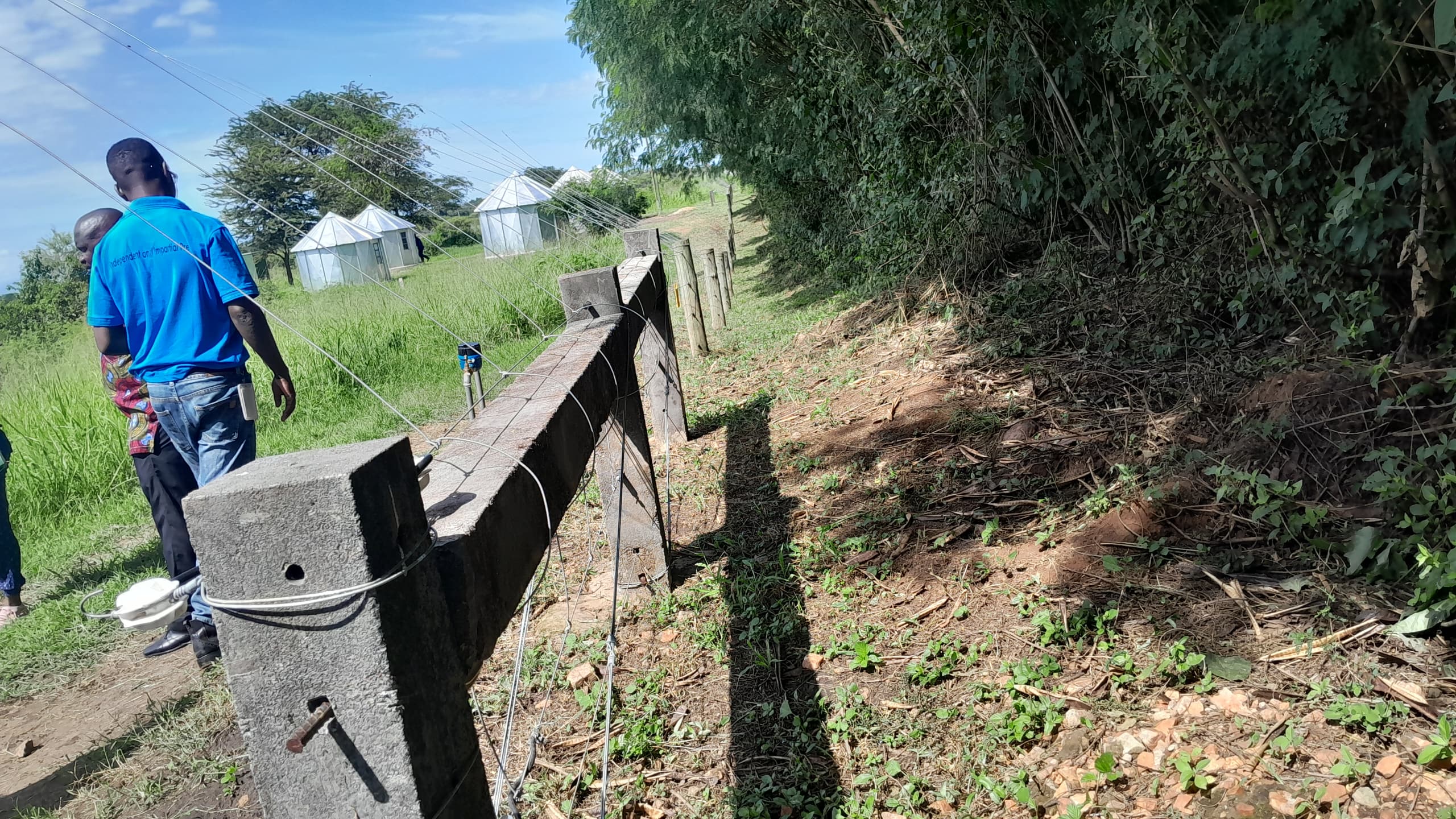 Farmers Welcome Electric Fence on Boundary With Queen Elizabeth Park