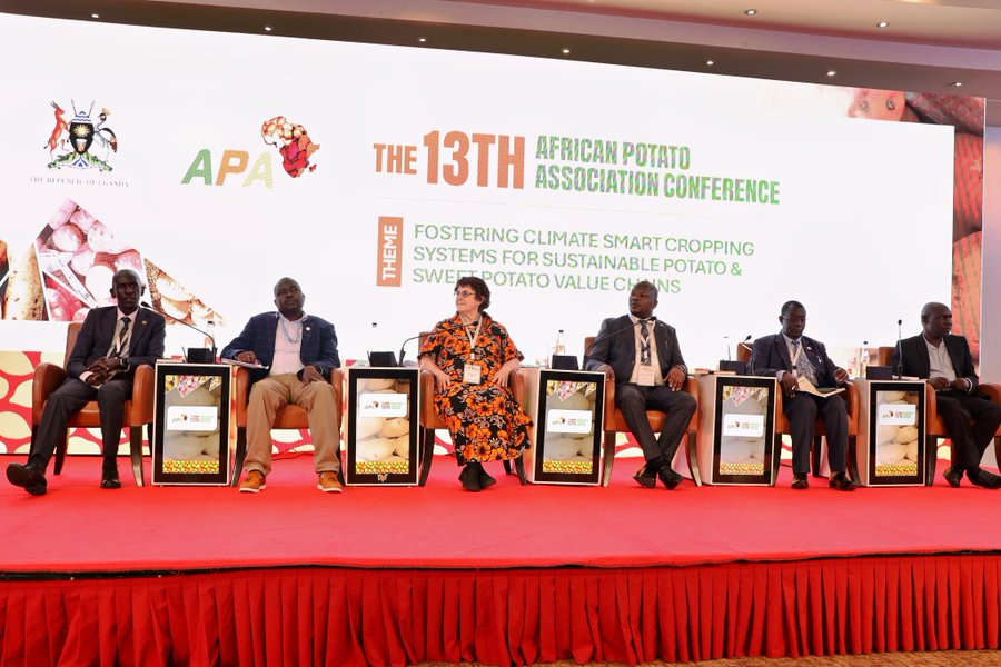 Experts Call for Increased Funding in Potato Research in Africa