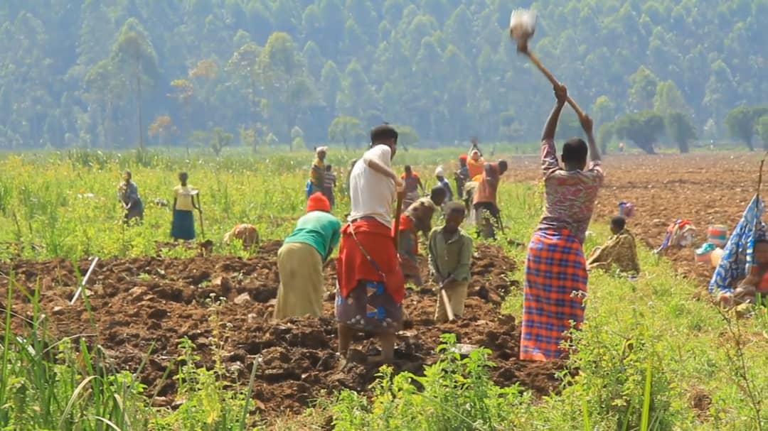 Museveni Roots for Church–Govt Alliance to Tackle Poverty Through Farming