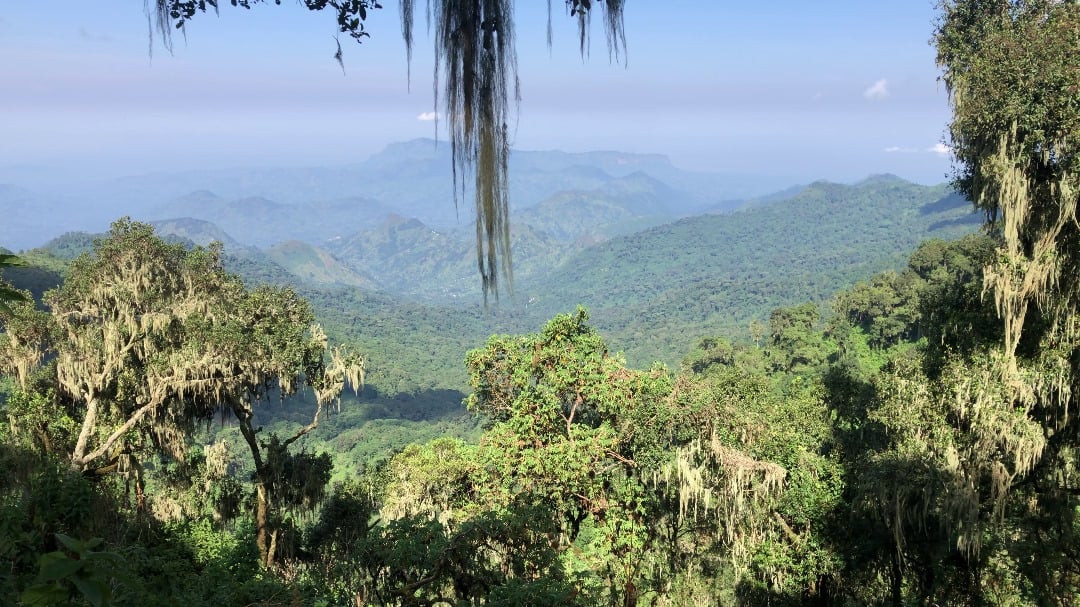 Mount Elgon and Pian Upe, Eastern Uganda's Overlooked Jewels