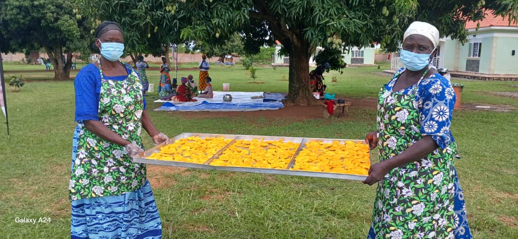 How Abata Village Women Are Turning Wasted Mangoes into Livelihoods