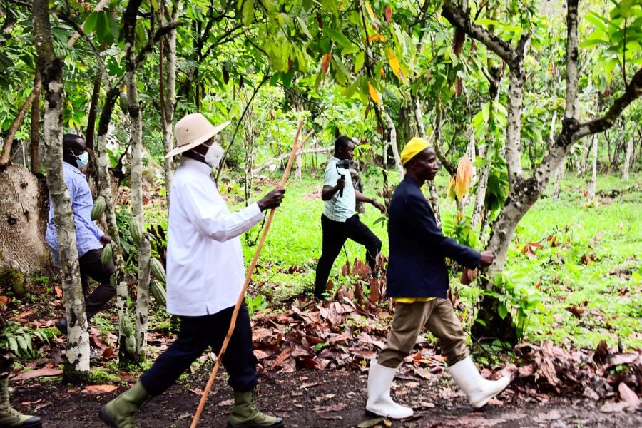 Museveni Hails Bundibugyo's Self-Driven Transformation
