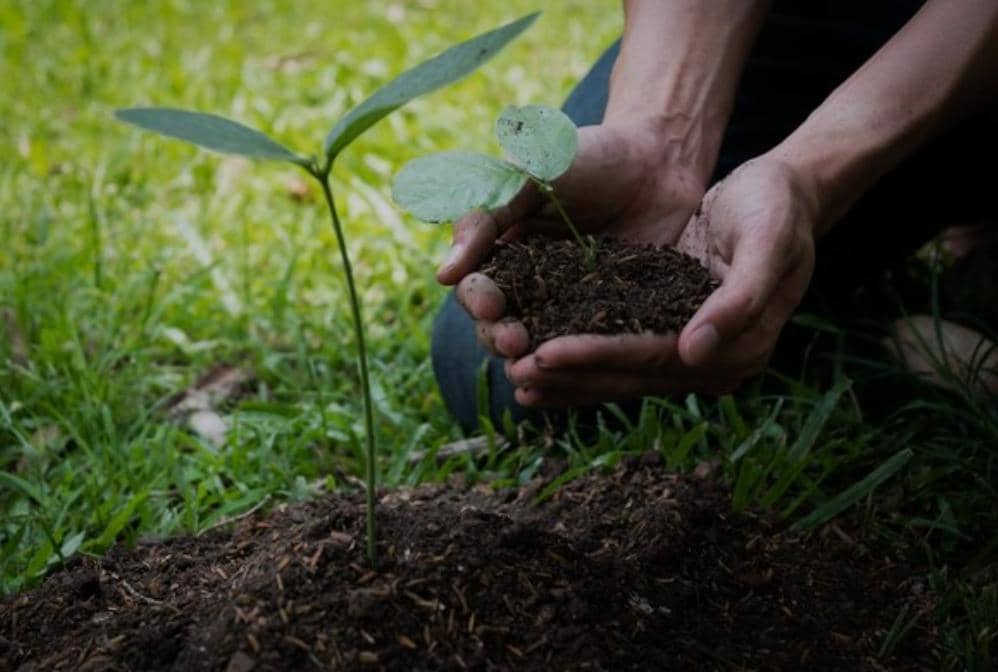 Government Urged to Ramp Up Sensitization Efforts on Climate Change