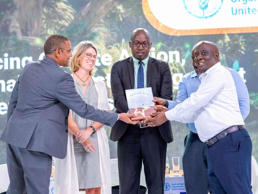 Experts Call for Sustainable Charcoal Production Instead of Bans