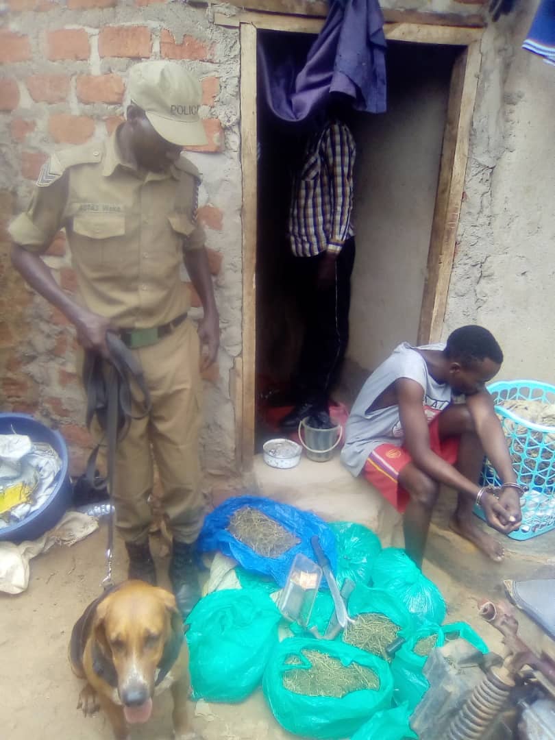 Police Sniffer Dog Tracks Knife-Wielding Thug Who Broke Into Kawempe Home