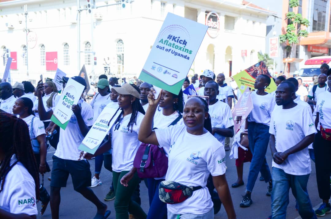 CSOs Urge Govt to Invest in Research for Safer Food Systems