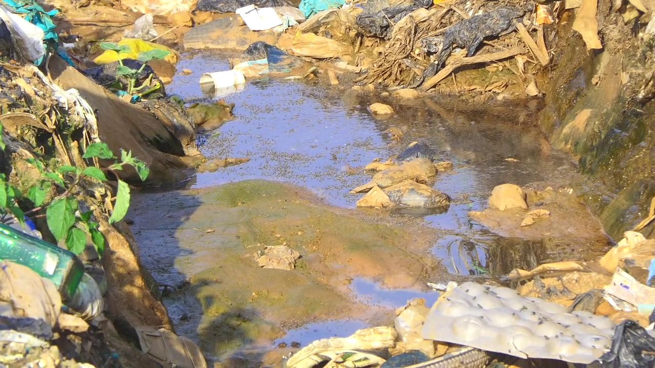 NEMA Says Nkumba Garbage Site Endangering Lake Victoria