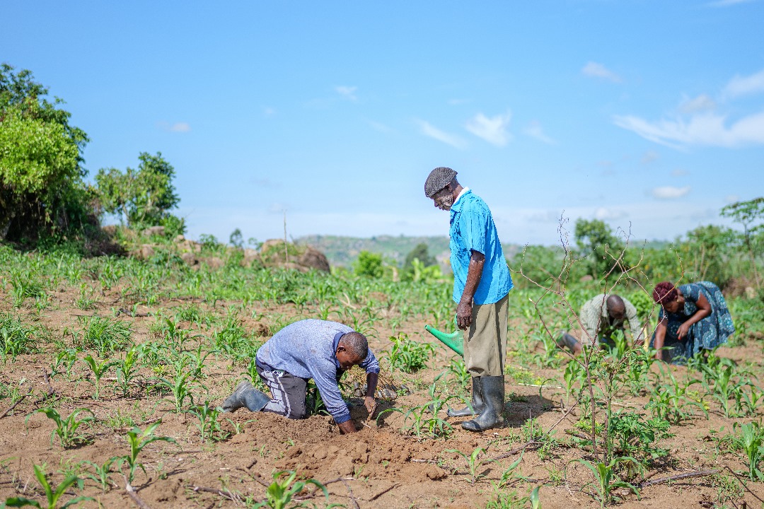 Whoever Masters the Land Question Will Own Uganda’s Future