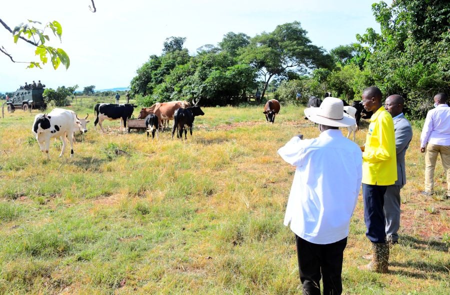 Use the Lake Sustainably- Museveni Tells Fishing Communities