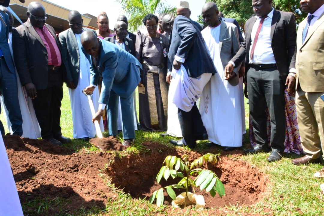 Muteesa I’s Tree Replanted at Kyambogo University