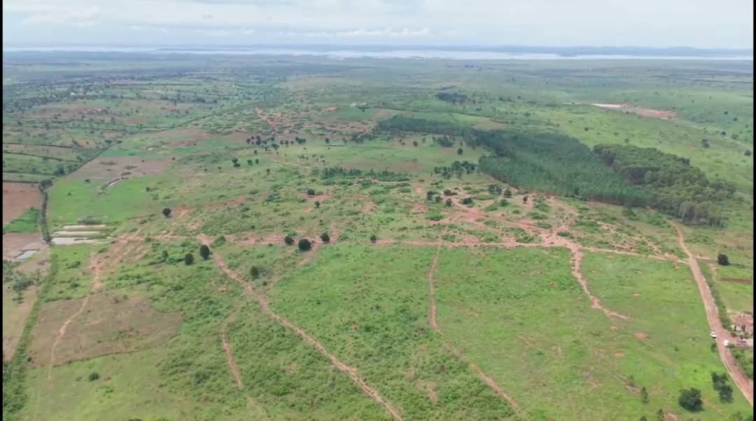 Uganda’s Wounded Land: Farmers Lead the Charge to Restoration