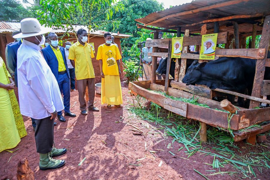 Dont Lose This Golden Opportunity- Museveni Tells Ugandans on PDM