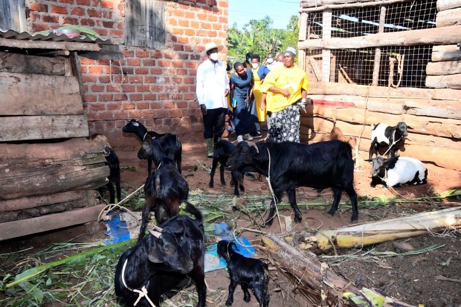 Every Ugandan Household Must be Involved in Wealth Creation- Museveni