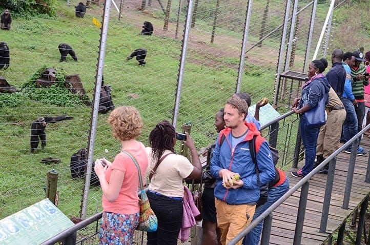 Uganda’s Tourism Sector Records Strong Growth as Earnings Hit Shs 5.8 Tn