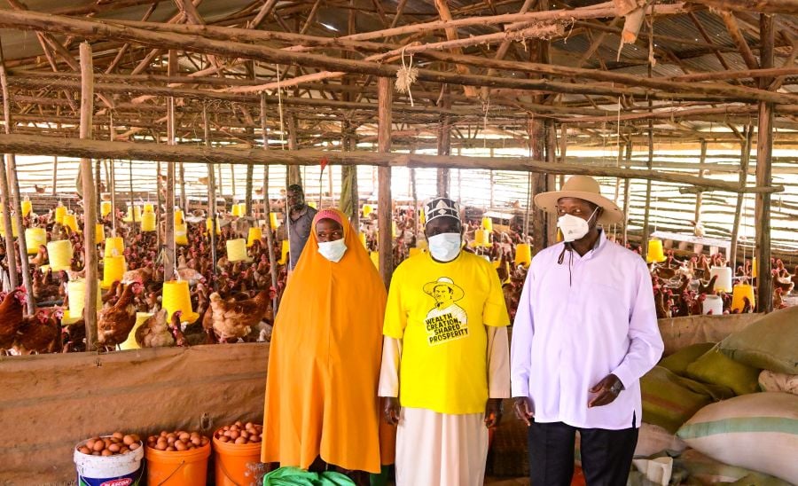 Museveni Hails Mpigi Model Farmer for Embracing Four-Acre Model