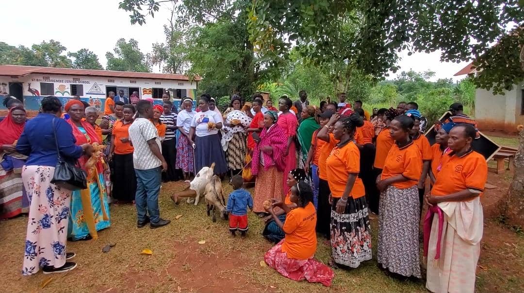 Mityana Women Rise from Poverty with Savings, Solidarity, and Self-Help