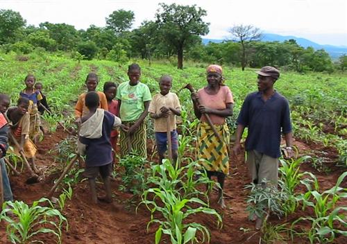Experts Urge Investment in Reproductive Rights as Fertility Preferences Shift in Uganda