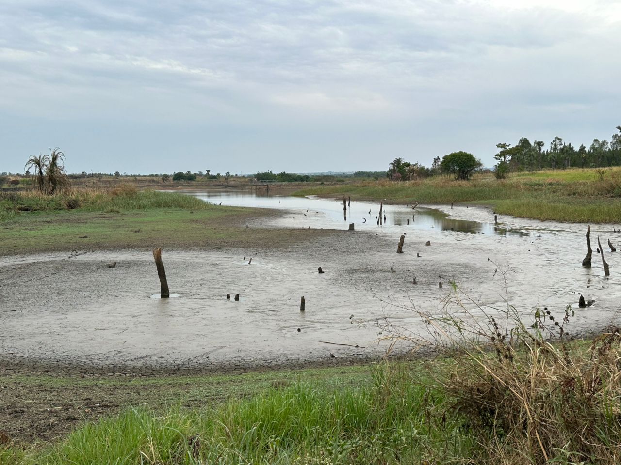 CEED Uganda, NWSC Push to Protect Gulu's Primary Water Source Oyitino