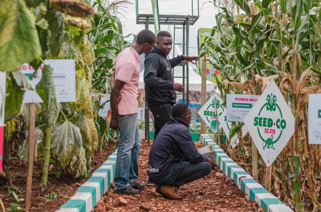 Museveni Hails Jinja Agricultural Show for Promoting Agriculture, Tourism, Minerals, and Services